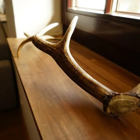 شقة Flaeminger Bauernstuebchen *