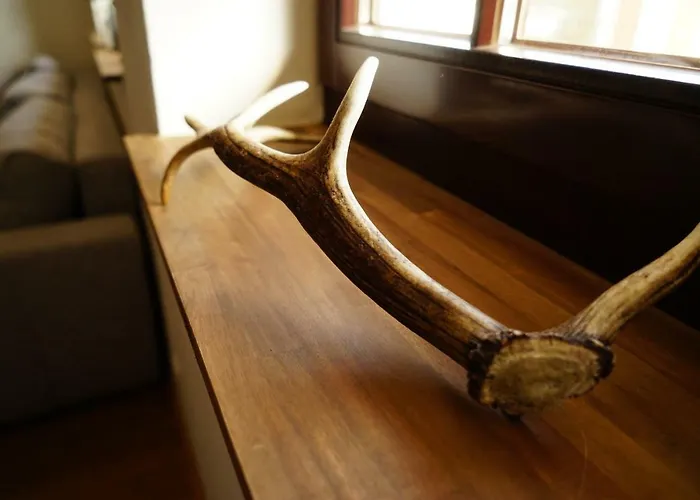 Apartamento Flaeminger Bauernstuebchen *